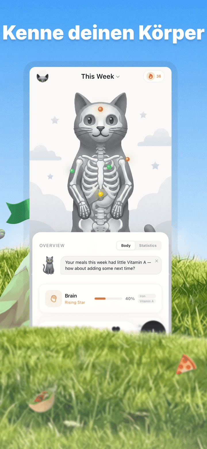 Kairo iOS Home Screen Widget mit täglichem Kalorienfortschritt